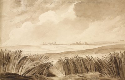 「No 4 La Belle Alliance and NeuvCour ...」、1815（紙と鉛筆） 作： Denis Dighton